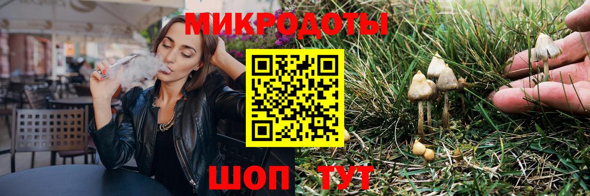 Псилоцибиновые грибы Psilocybe  Вход с VPN  Волоколамск  купить закладку  Псилоцибиновые грибы Cubensis 